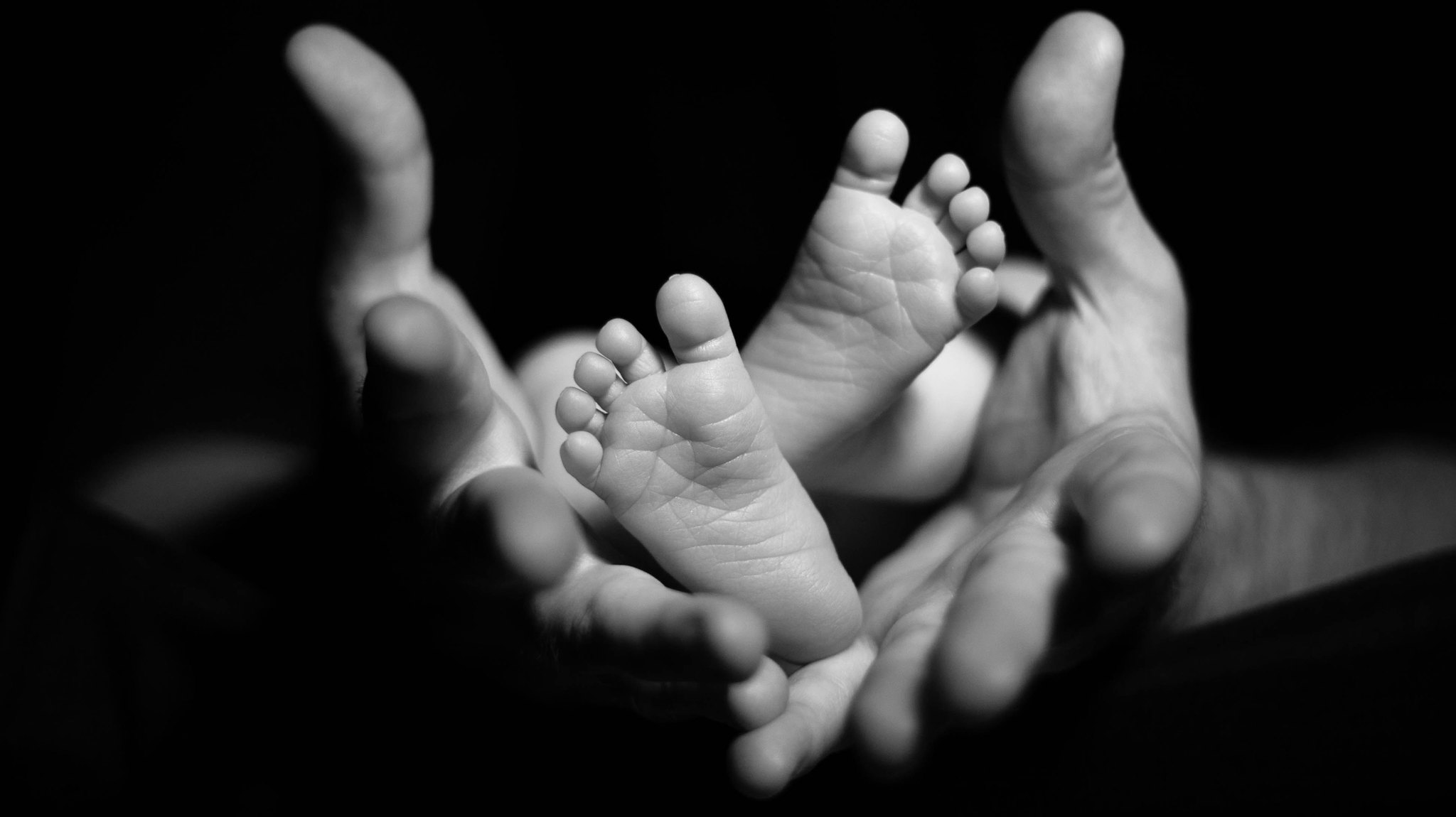 An adult holding a baby's feet in their palm