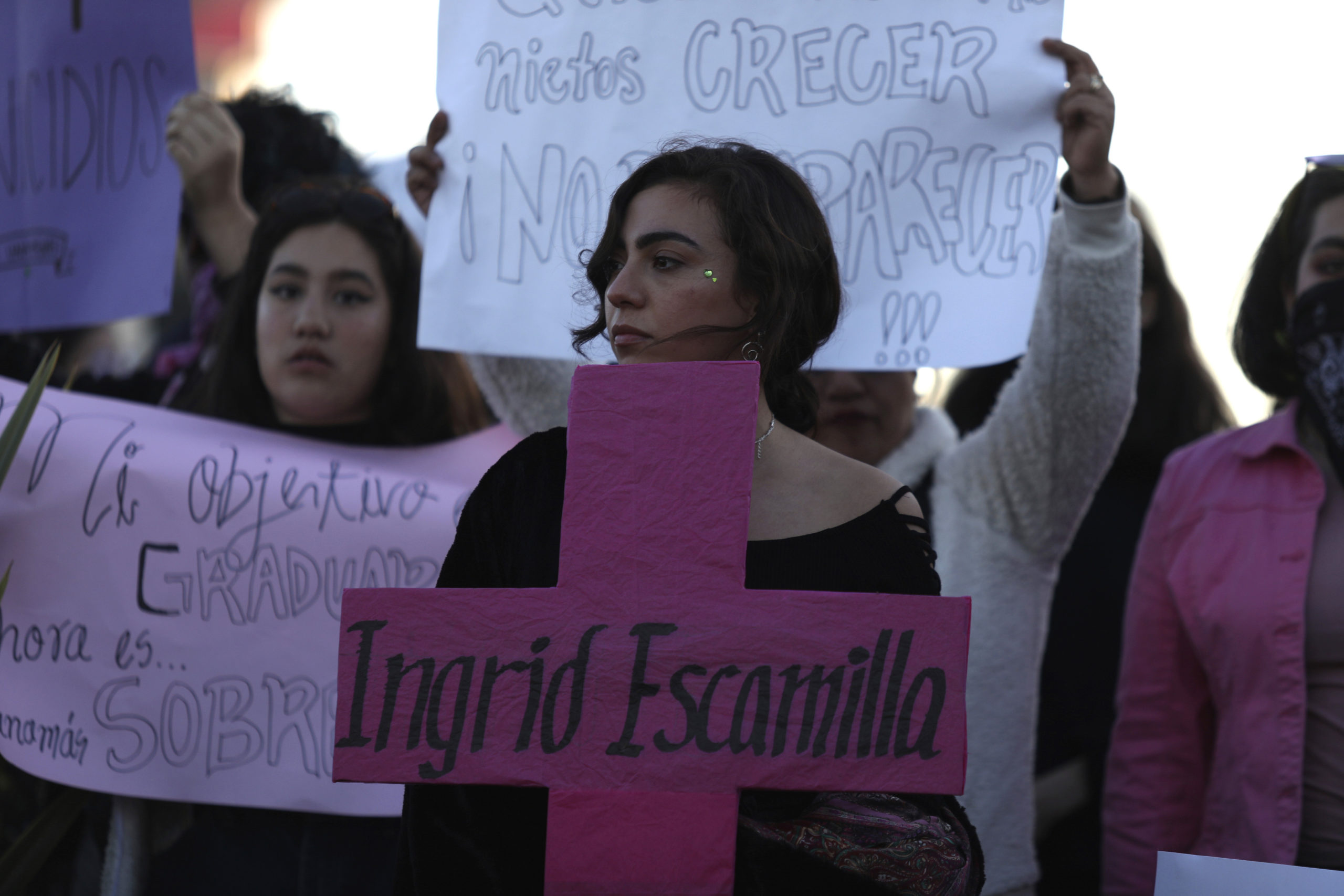 Women holding demonstration banners