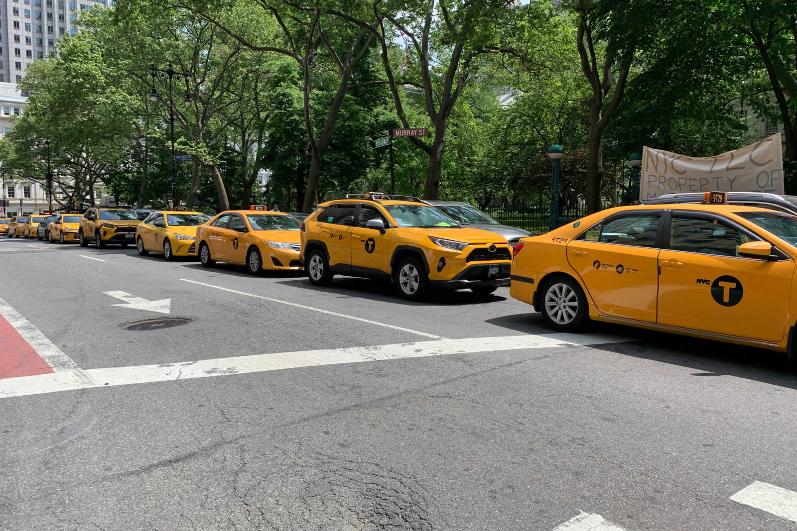 A photo of a row of yellow taxi cabs parked on a city street