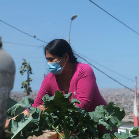 A photo of a woman tending to a garden