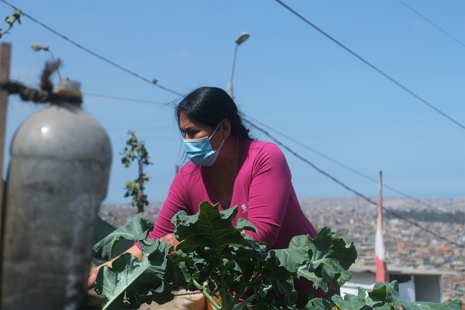 A photo of a woman tending to a garden