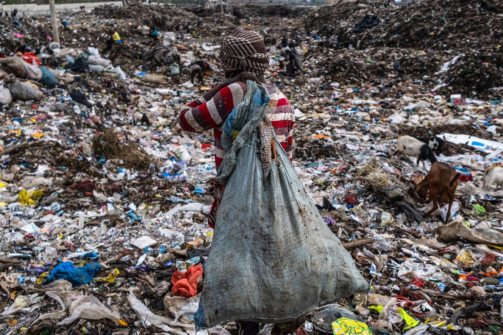 A photo of a person holding a bag of trash at a dumpsite
