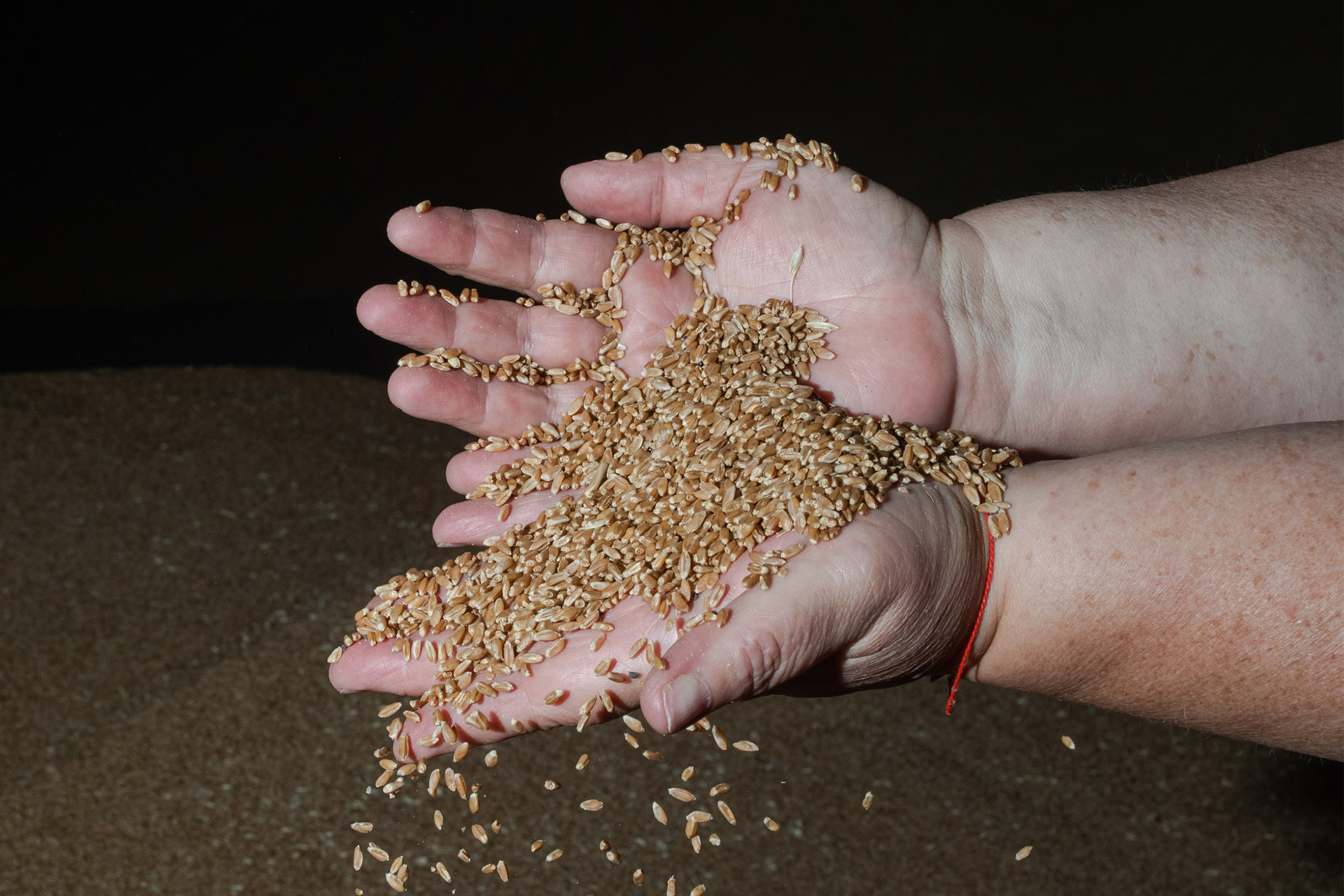 Grains slipping through a person's hands