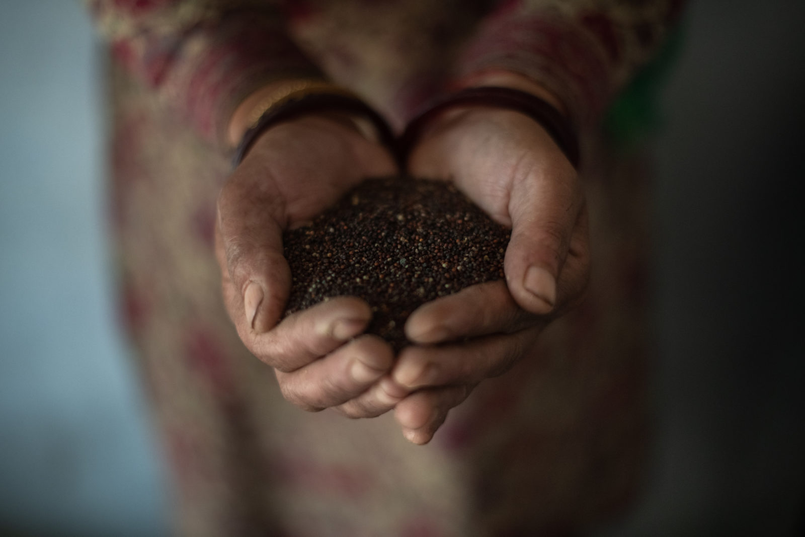 A close up of a woman's hands holding finger millets.