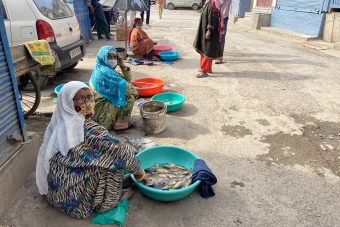 A photo of three Indian women selling fish